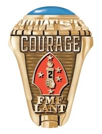 2nd marine division rings